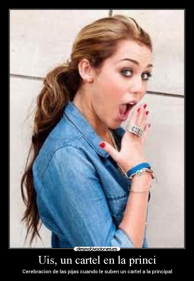 Uis, un cartel en la princi -