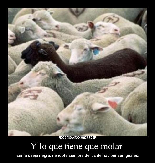 Y lo que tiene que molar -