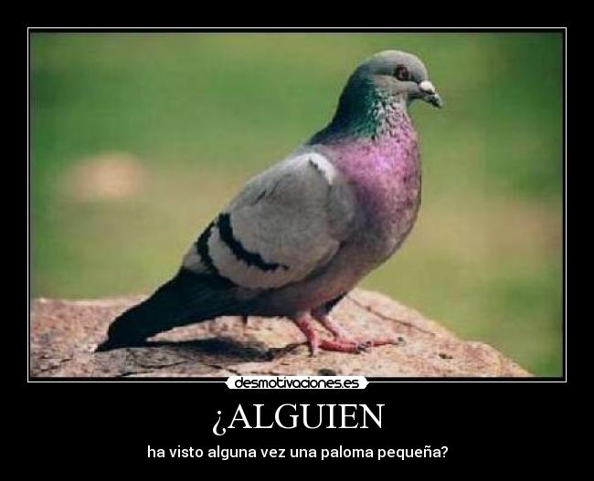 ¿ALGUIEN -