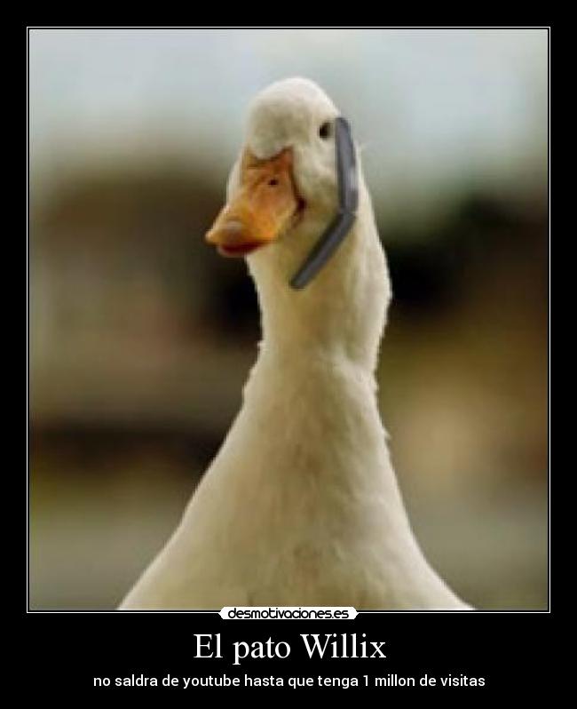 El pato Willix -