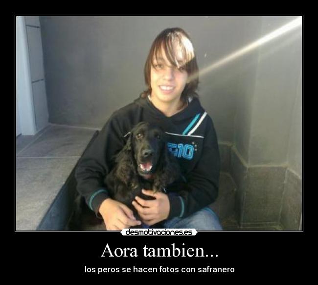 carteles adonay desmotivaciones