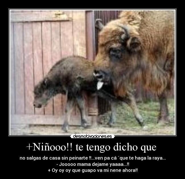 carteles pos esoo desmotivaciones