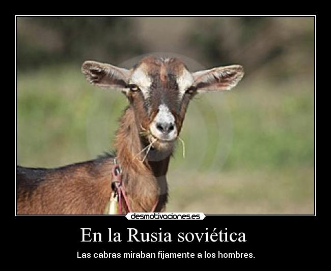 En la Rusia soviética  - 
