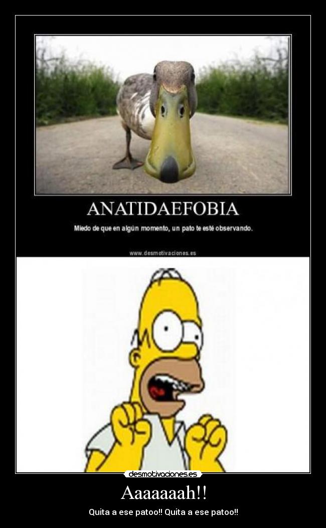 Aaaaaaah!! - 