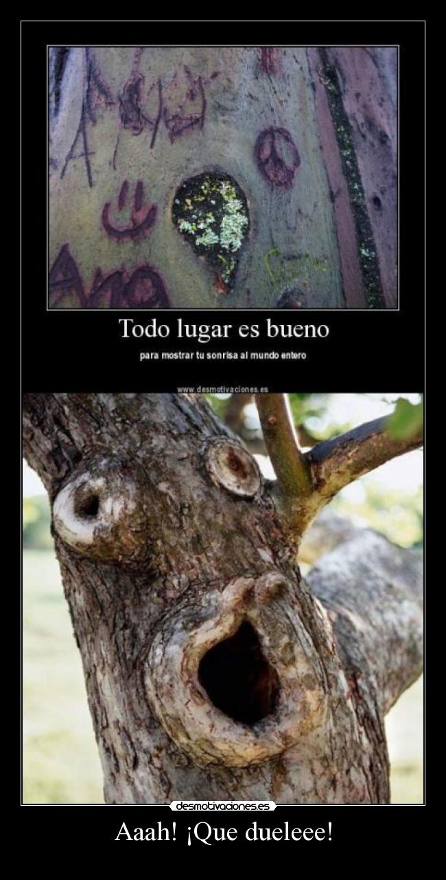 carteles duele arbol amor sonrisa desmotivaciones