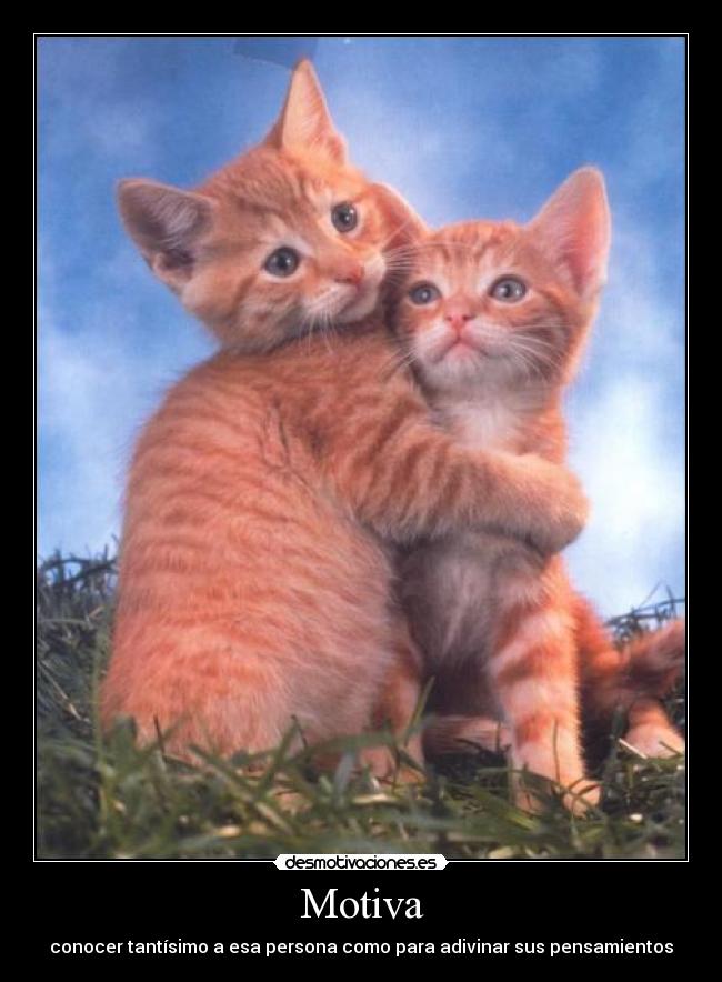 Motiva - conocer tantísimo a esa persona como para adivinar sus pensamientos