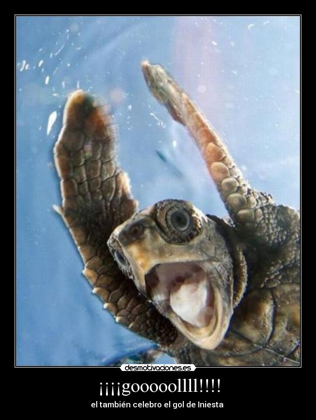 ¡¡¡¡gooooollll!!!! - el también celebro el gol de Iniesta