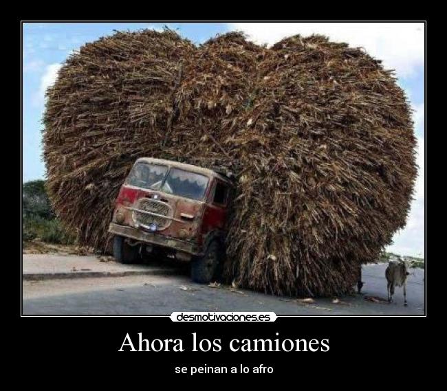 Ahora los camiones -