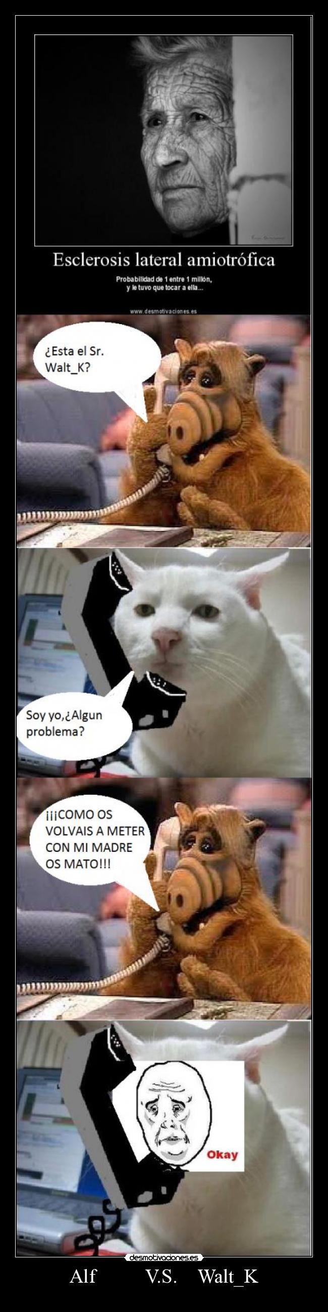 Alf V.S. Walt_K -