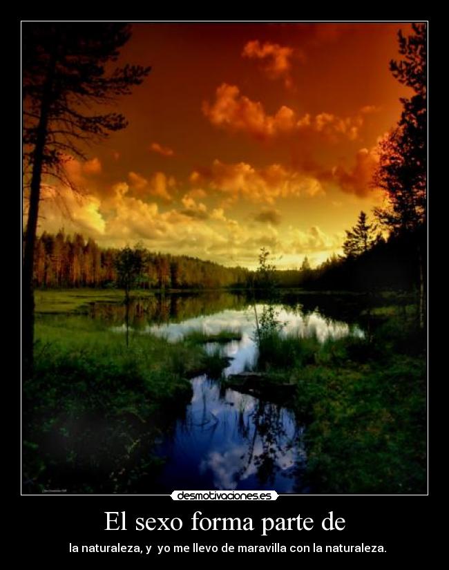 carteles sexo sexo desmotivaciones