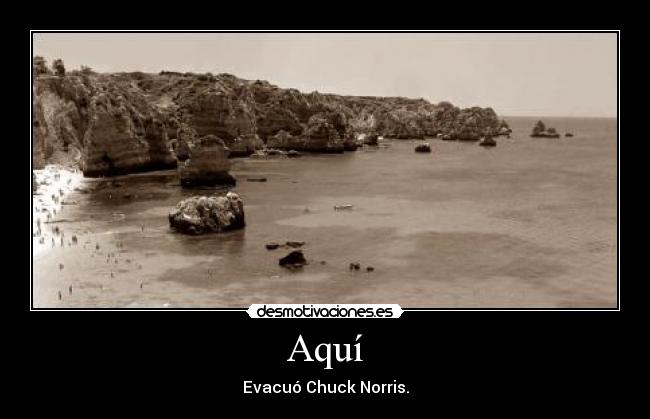 carteles saray99 desmotivaciones