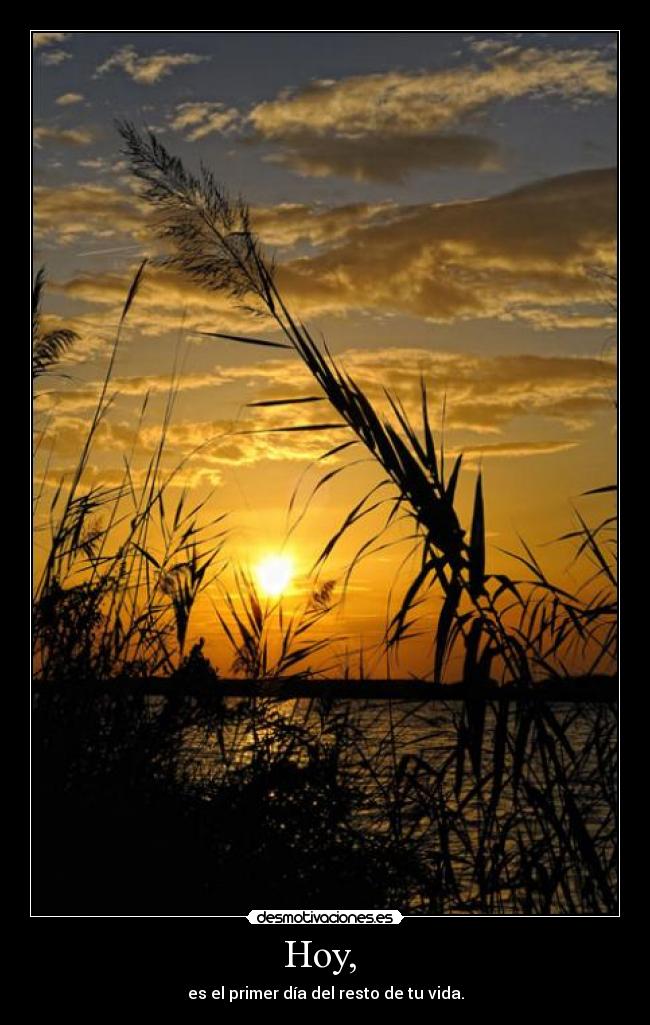 carteles vida dias resto desmotivaciones