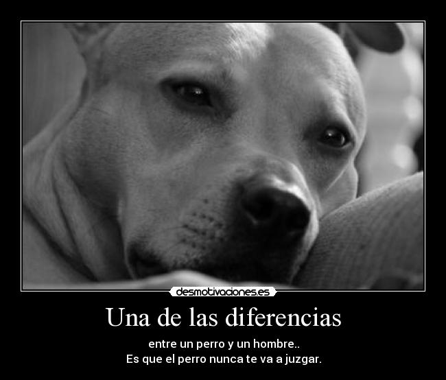 Una de las diferencias -