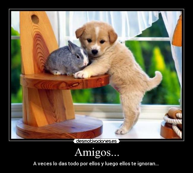 Amigos... - 
