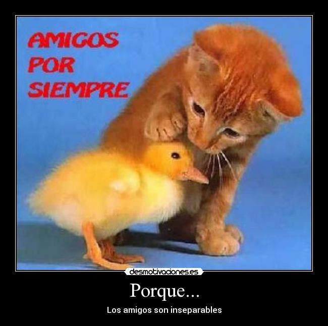 Porque... - Los amigos son inseparables