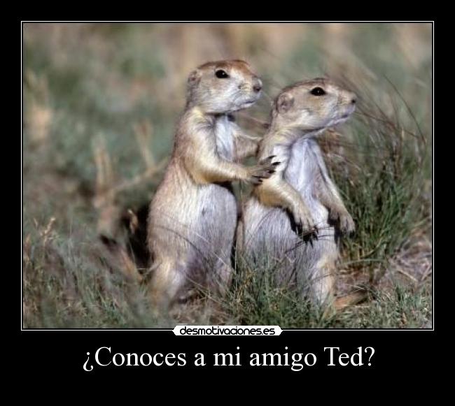 ¿Conoces a mi amigo Ted? - 