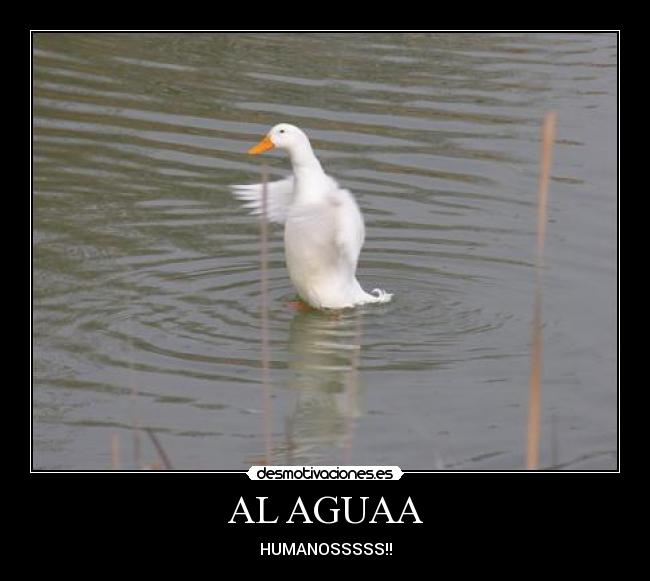 AL AGUAA -