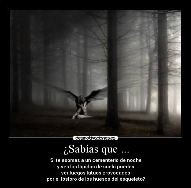 ¿Sabías que ... - Si te asomas a un cementerio de noche
y ves las lápidas de suelo puedes
ver fuegos fatuos provocados
por el fósforo de los huesos del esqueleto?