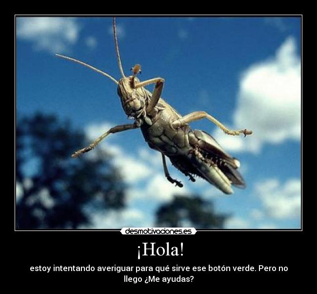 ¡Hola! - estoy intentando averiguar para qué sirve ese botón verde. Pero no llego ¿Me ayudas?