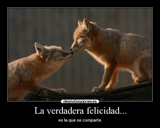 La verdadera felicidad... - es la que se comparte.