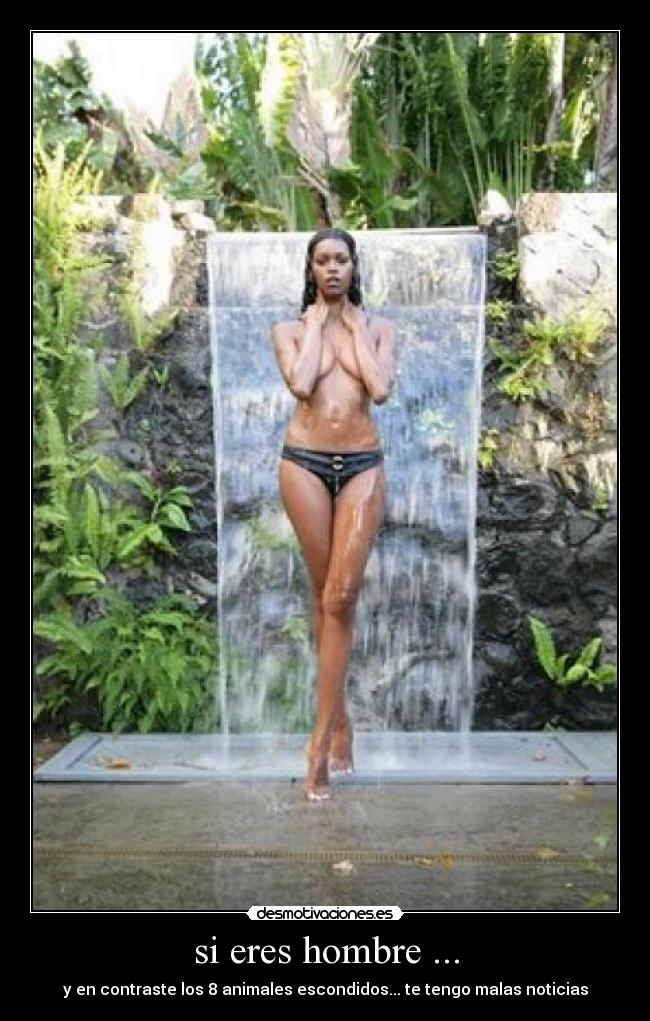 si eres hombre ... - y en contraste los 8 animales escondidos... te tengo malas noticias