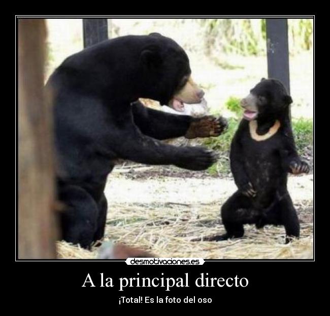 A la principal directo - 