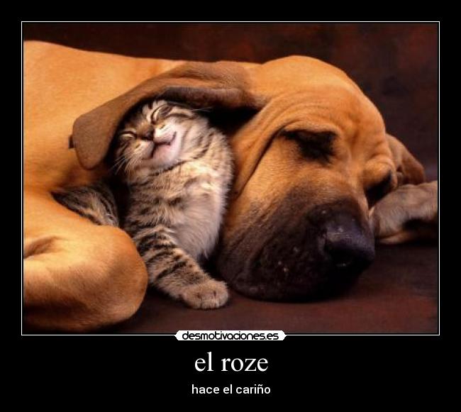 el roze - hace el cariño