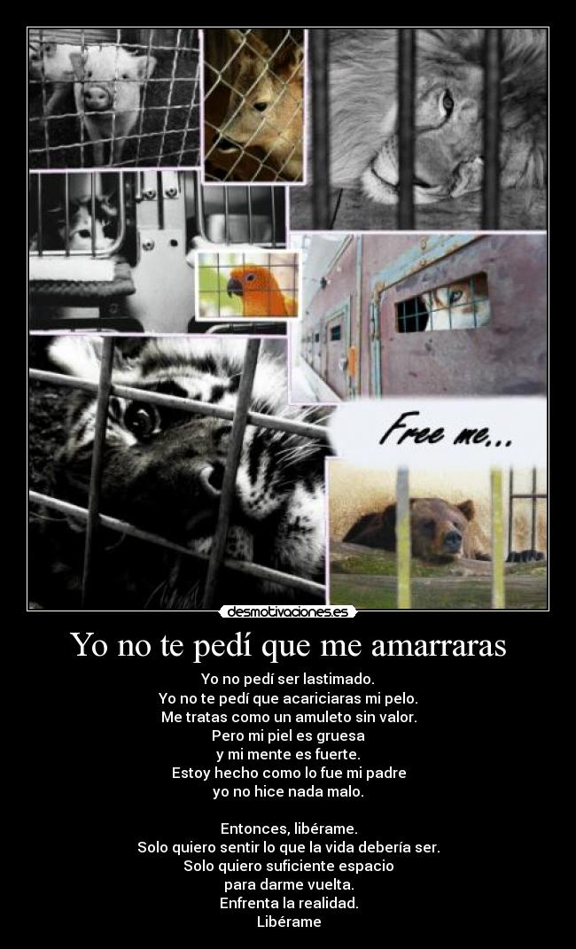 Yo no te pedí que me amarraras -