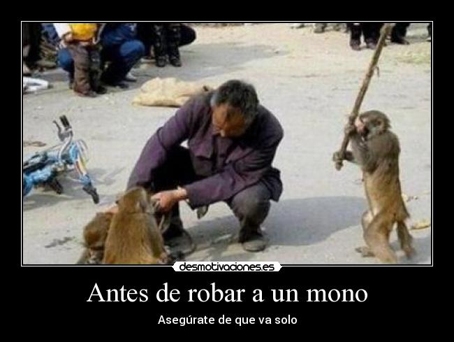 Antes de robar a un mono -