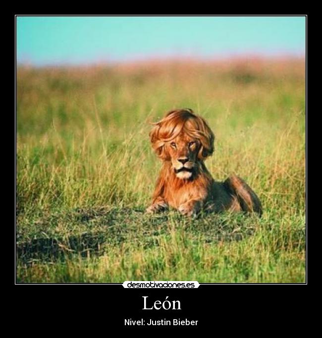 León -