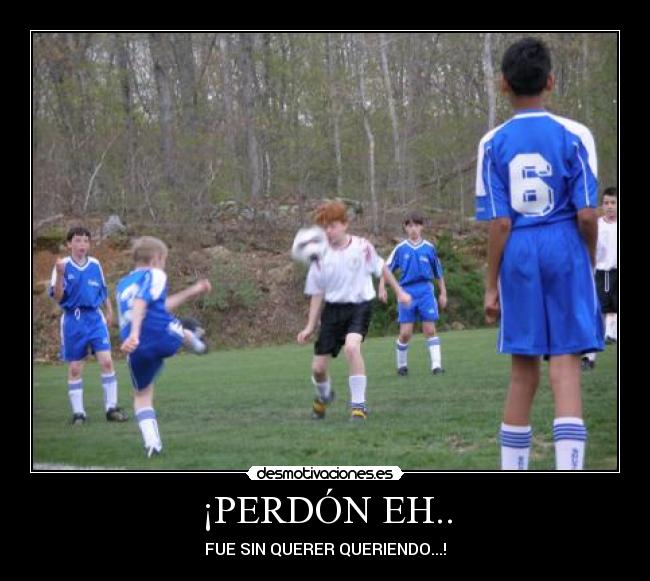 carteles perdon fue sin querer queriendo futbol pelotazo pelota cara facepalm desmotivaciones