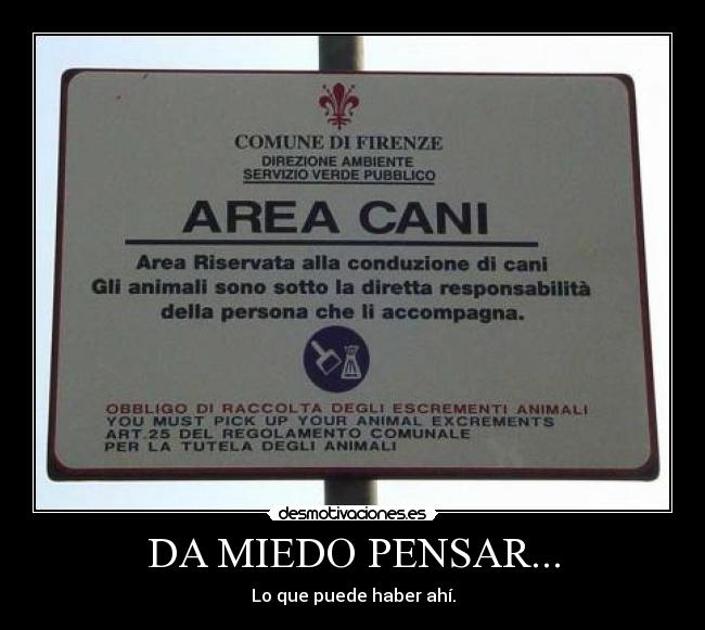 DA MIEDO PENSAR... - Lo que puede haber ahí.