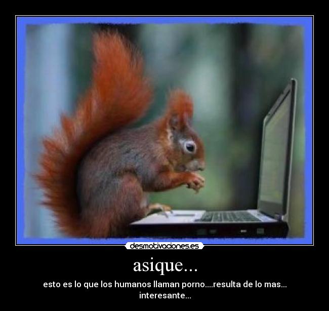 asique... - esto es lo que los humanos llaman porno....resulta de lo mas...
interesante...