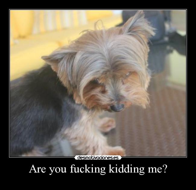 Are you fucking kidding me? -