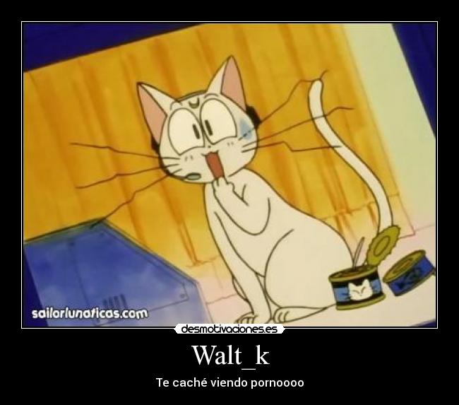 Walt_k - Te caché viendo pornoooo