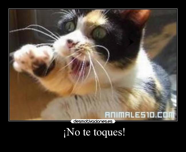 ¡No te toques! -