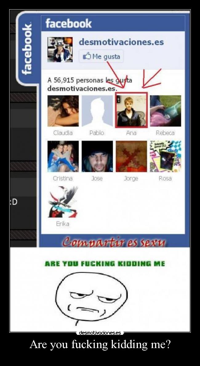 Are you fucking kidding me? -