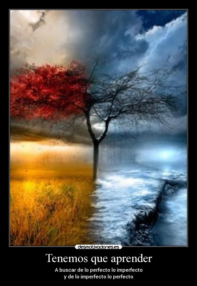 carteles perfecto desmotivaciones