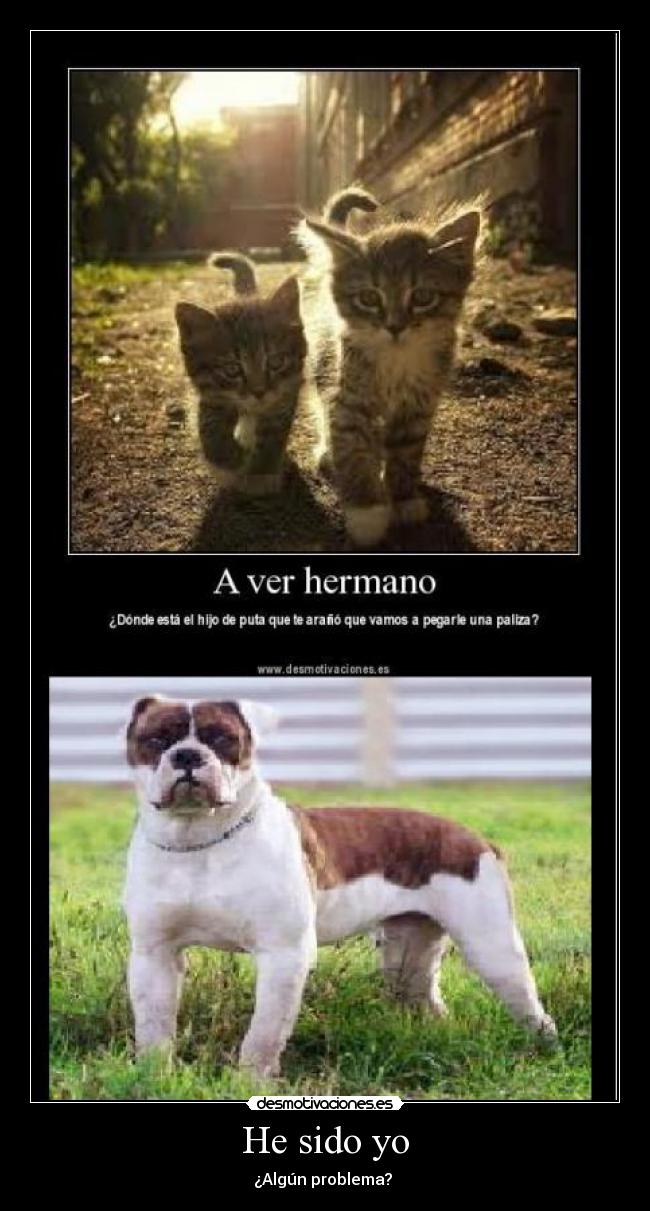 He sido yo - ¿Algún problema?