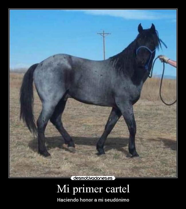 Mi primer cartel - Haciendo honor a mi seudónimo