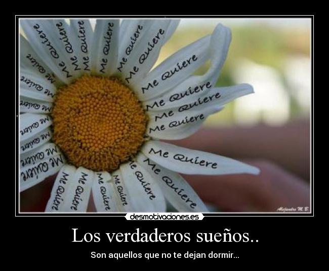 Los verdaderos sueños.. -