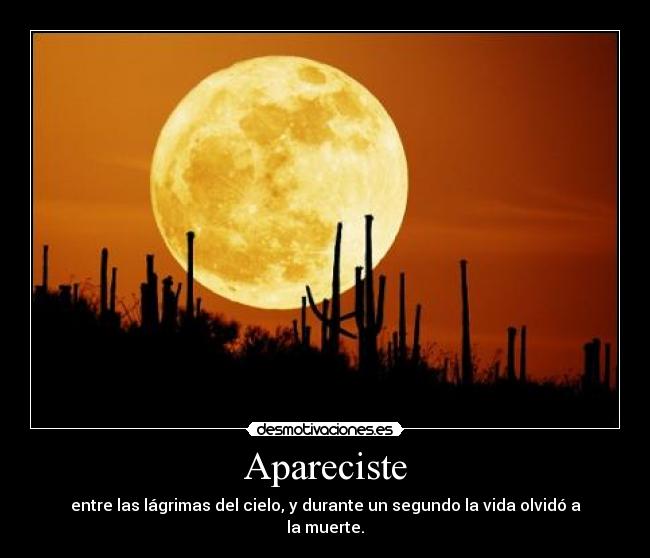 Apareciste - 