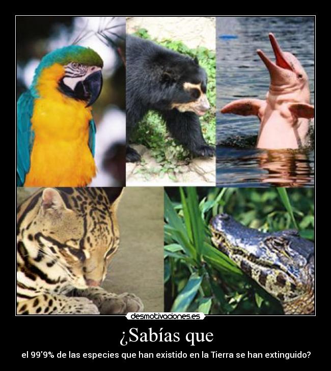 carteles lol desmotivaciones