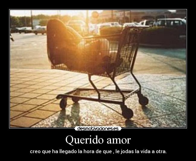 Querido amor - creo que ha llegado la hora de que , le jodas la vida a otra.