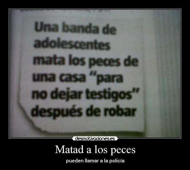 Matad a los peces - 