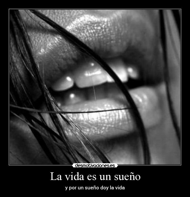 La vida es un sueño - 