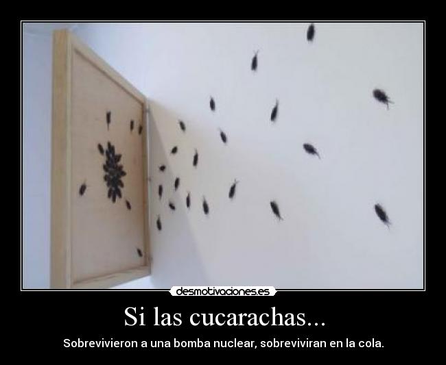 Si las cucarachas... - 
