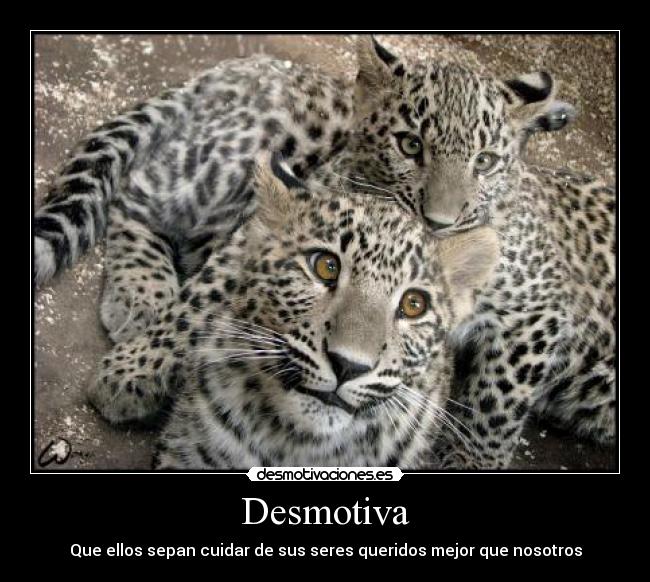 Desmotiva - 