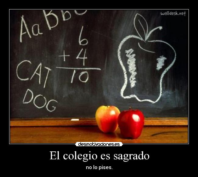 El colegio es sagrado - 