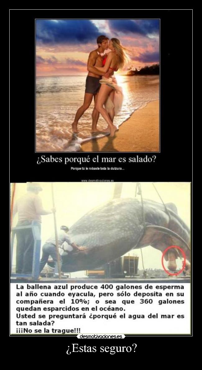 carteles desmotiva ballena salada desmotivaciones